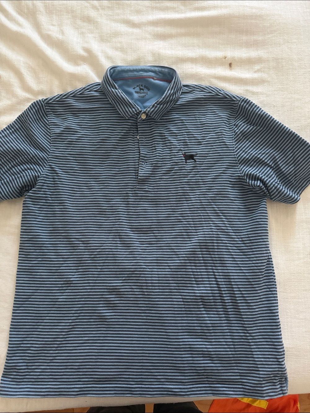 The Black Dog Men's Blue Striped Polo